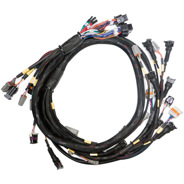 G4X StormX ECU + Terminated LS Engine Harness Drive-by-Cable Bundle